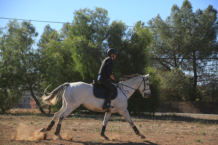 Load video: Join me on my journey to take my Thoroughbred Beginner/Novice in 3-day Eventing.