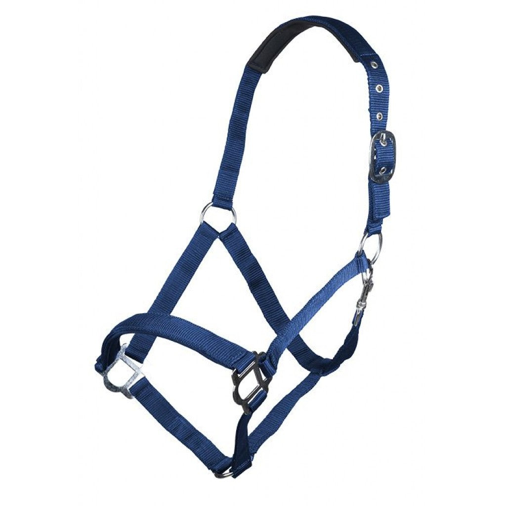 HKMHead collar with soft padding
