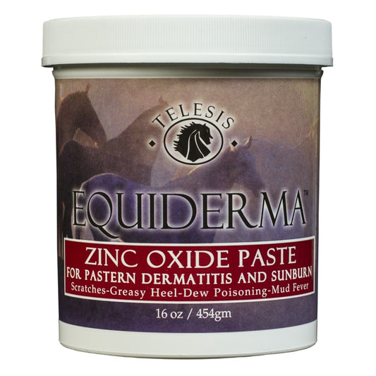 Equiderma Zinc Oxide Paste, 16 oz