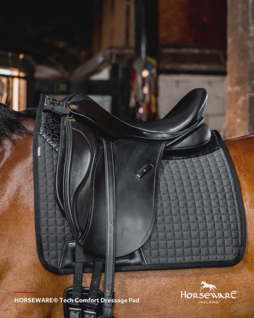 Horse Pads & Accessories