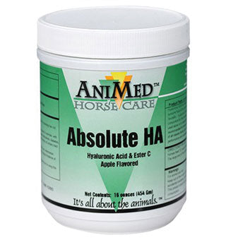 ABSOLUTE HA STAND-ALONE JOINT SUPPLEMENT
