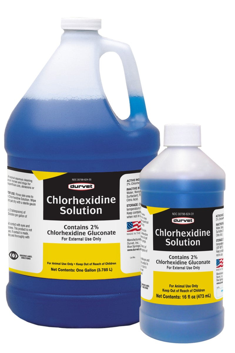 Chlorexidine Solution 2% 16oz