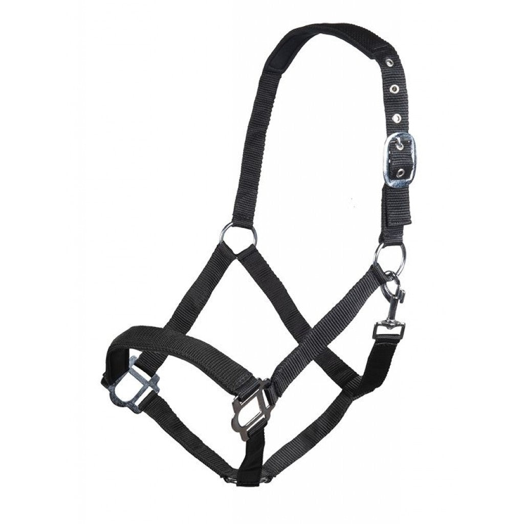 HKMHead collar with soft padding