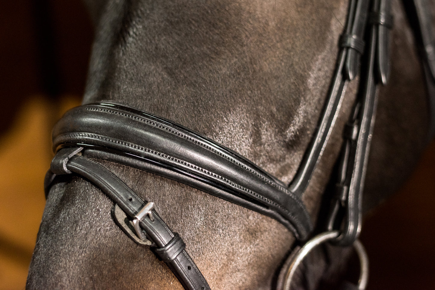 Ovation ATS Traditional Caveson Dressage Bridle with Flash