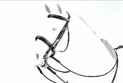 Patent Leather Rolled Double Bridle