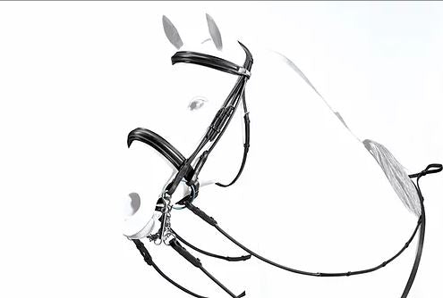 Rolled Double Bridle with Patent Piping