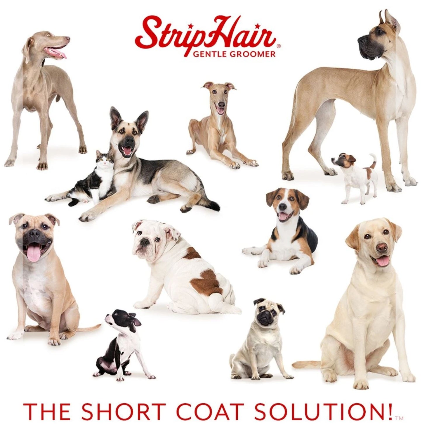 Strip Hair Groomer - Sensitive